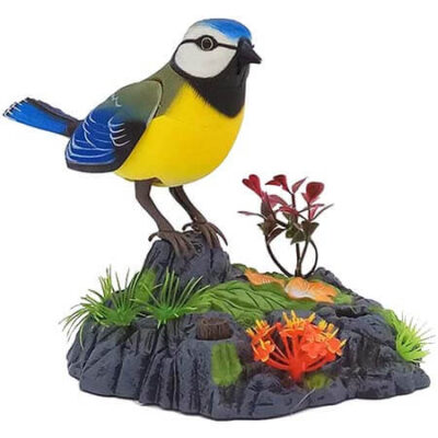 Garden Accessories