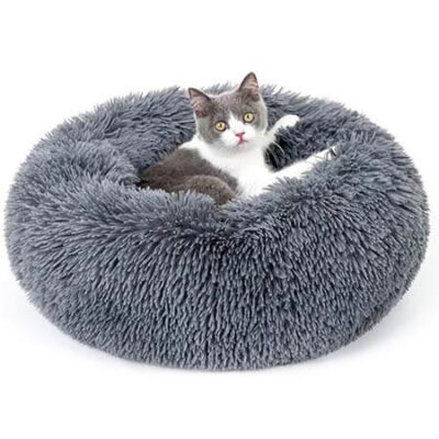 Pet Beds
