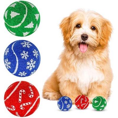 Pet Toys