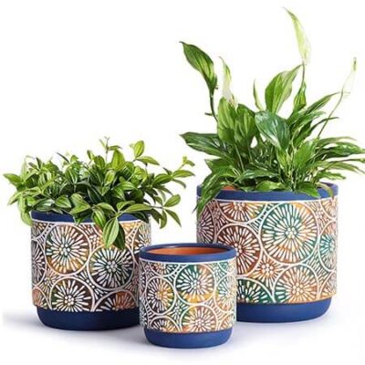 Plant Pots