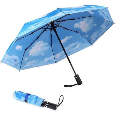 Umbrella and Sunshade